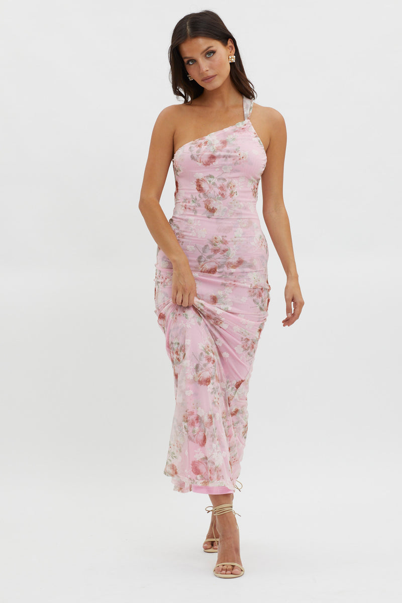 Shop The Tatum One-shoulder Mesh Maxi Dress Pink 